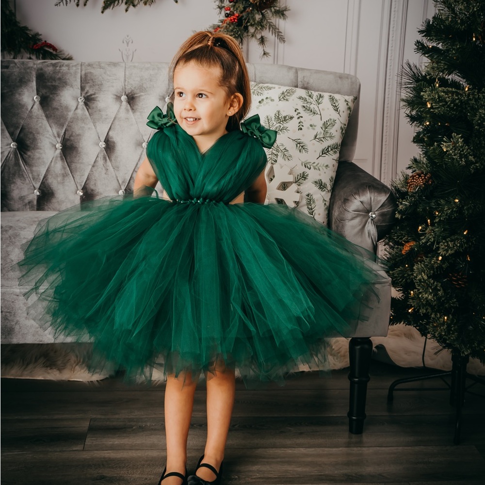 Toddler girl Christmas tulle dress - Picture 1 of 5